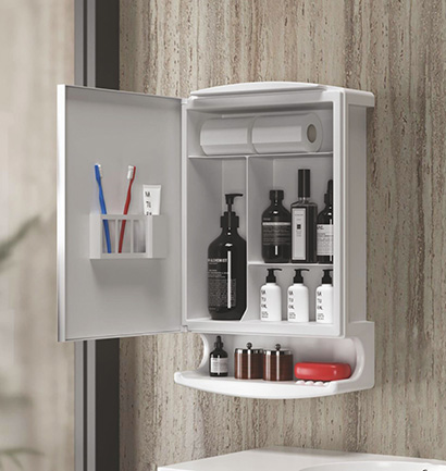 Mirror Cabinet