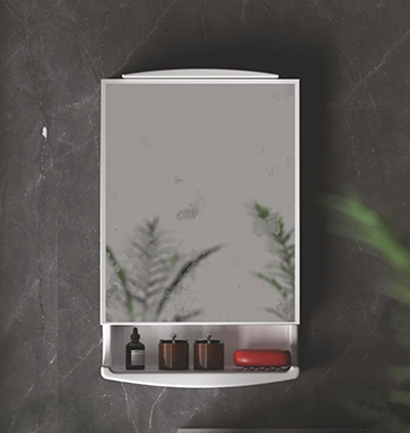 Mirror Cabinet