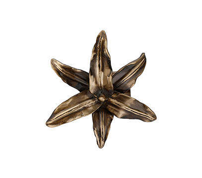 Brass Curtain Bracket
